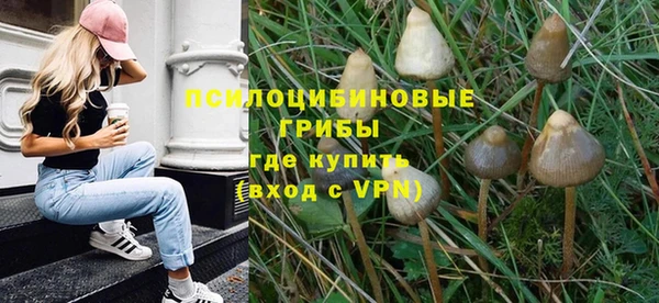дурь Новодвинск