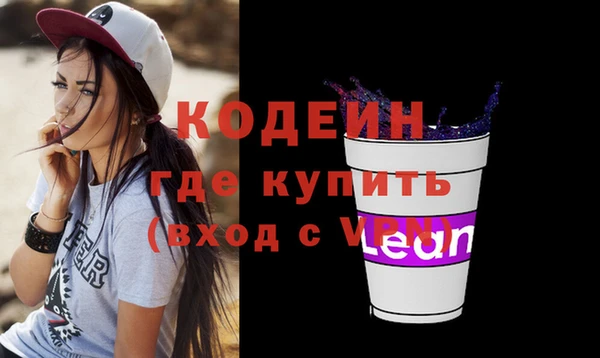 молекула духа Сковородино