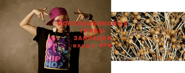 синтетический гашиш Новозыбков